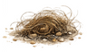 Hair